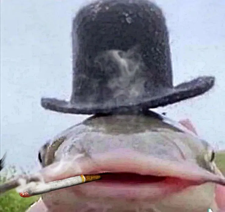 Avatar of announcement fish