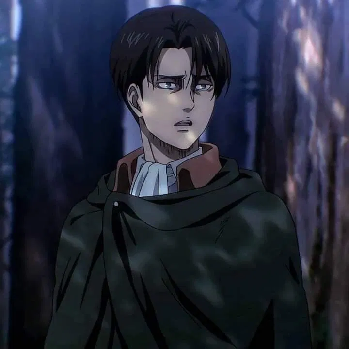 Avatar of Levi Ackerman