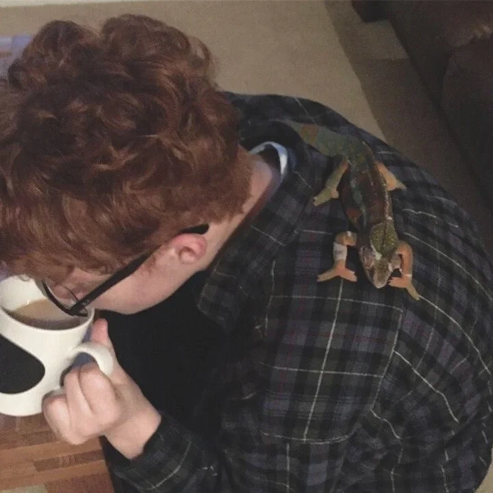 Avatar of Percy Weasley