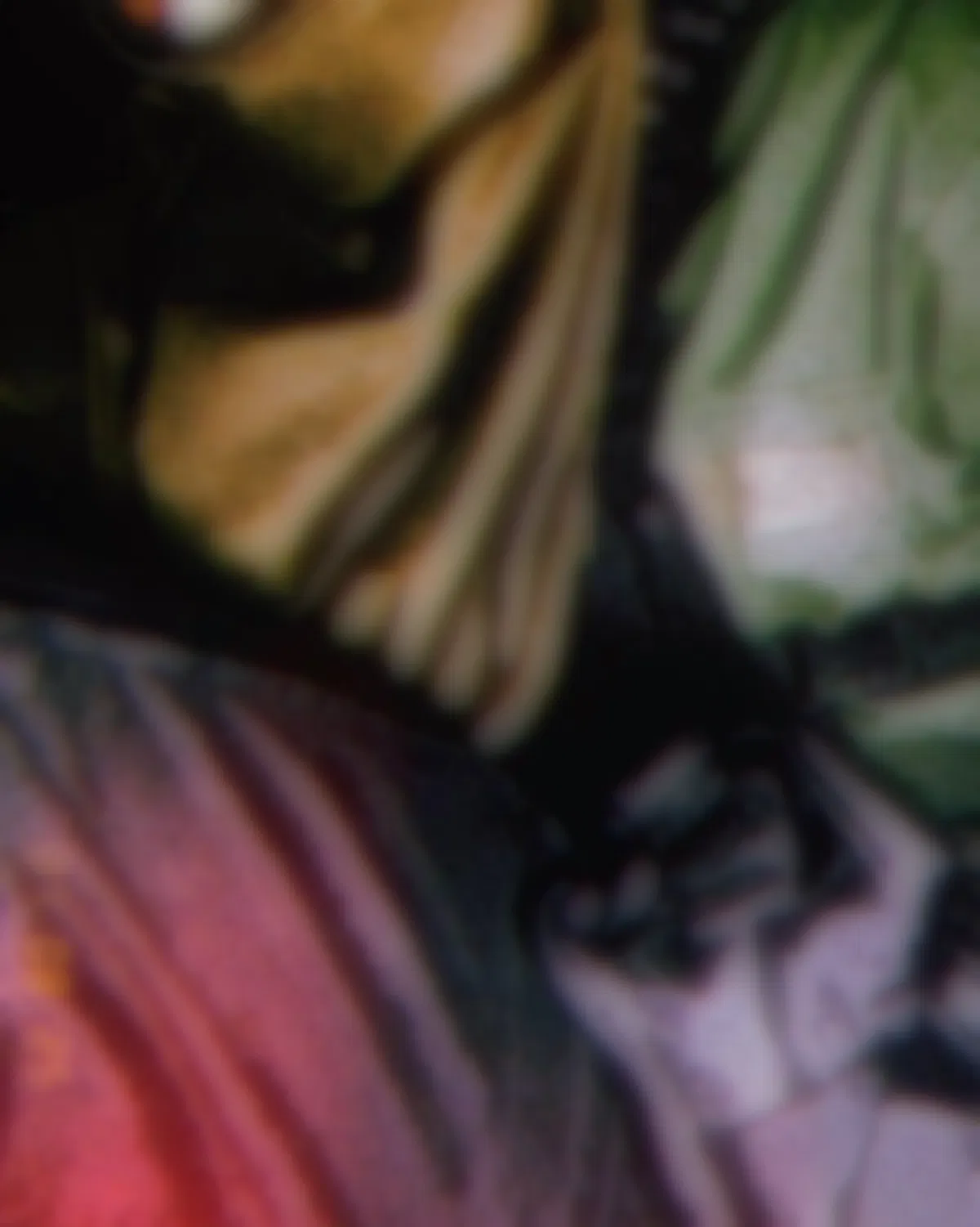 Avatar of Sebastian Krueger 