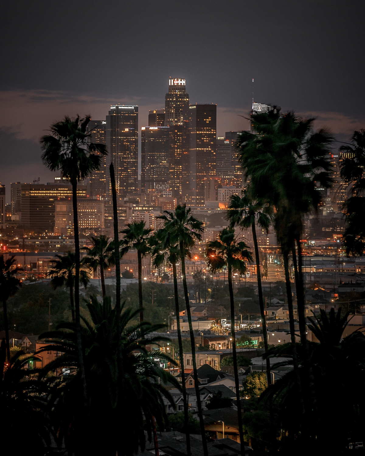 Avatar of The L.A Life | Los Angeles RPG