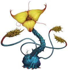 Avatar of Colony of plantae erotica