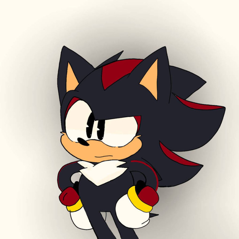 Avatar of Shadow The Hedgehog