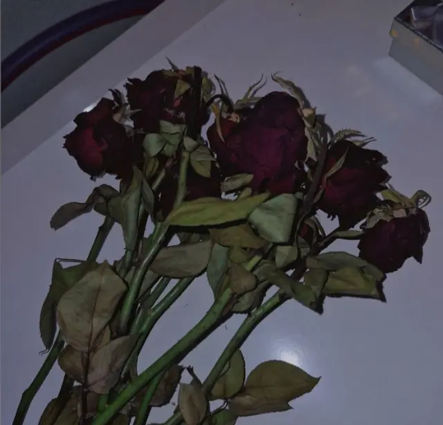 Avatar of Red - the Dead Rose
