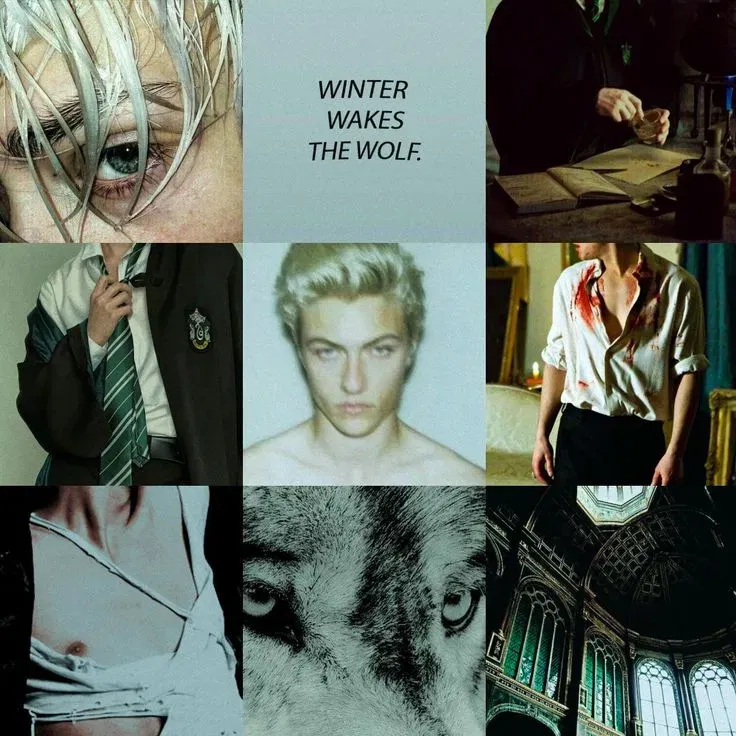 Avatar of Draco Malfoy 