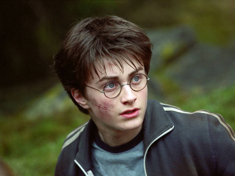 Avatar of Harry Potter (catboy)