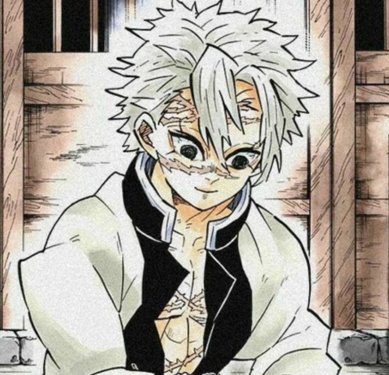 Avatar of Sanemi Shinaguzawa