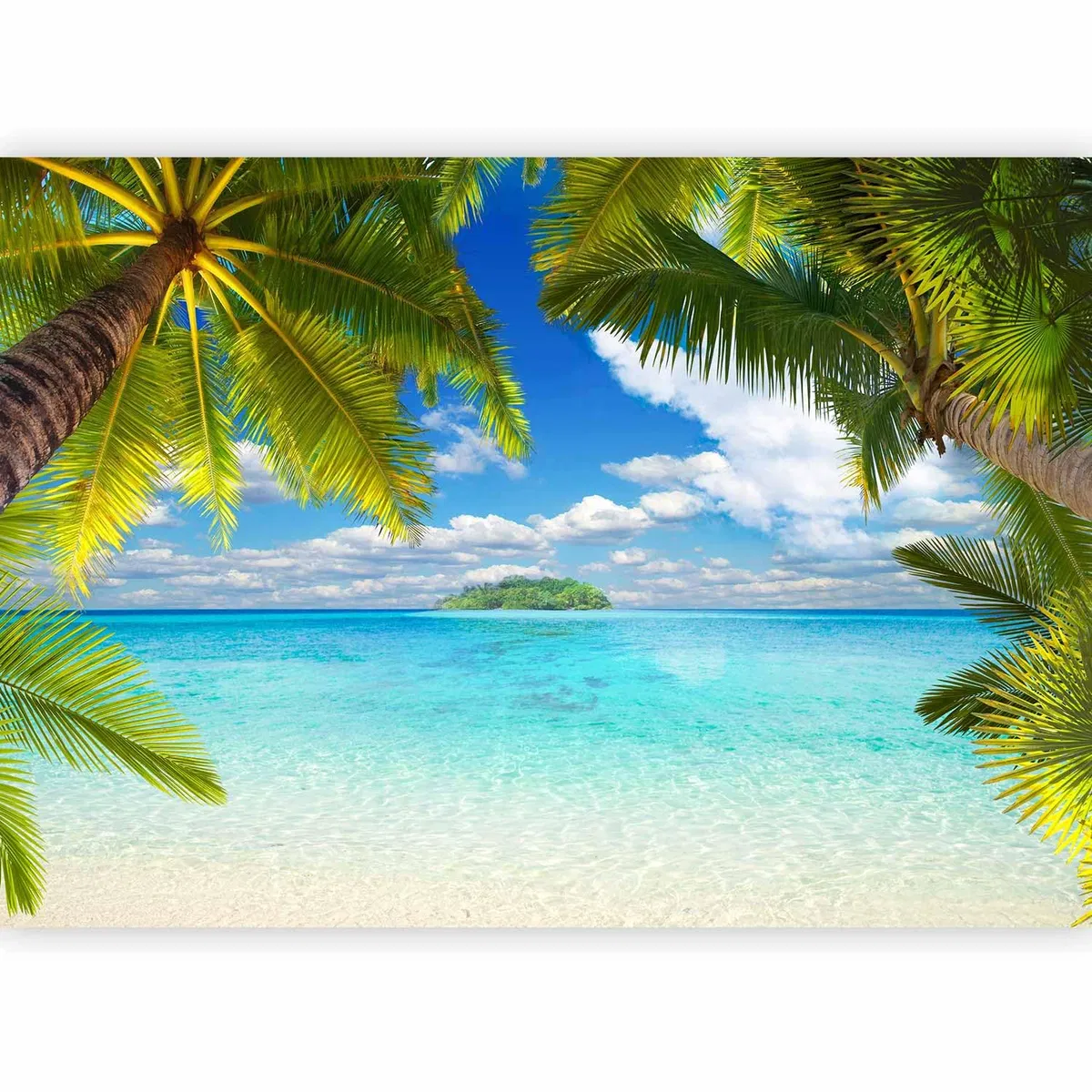 Avatar of Tropical Island Rp