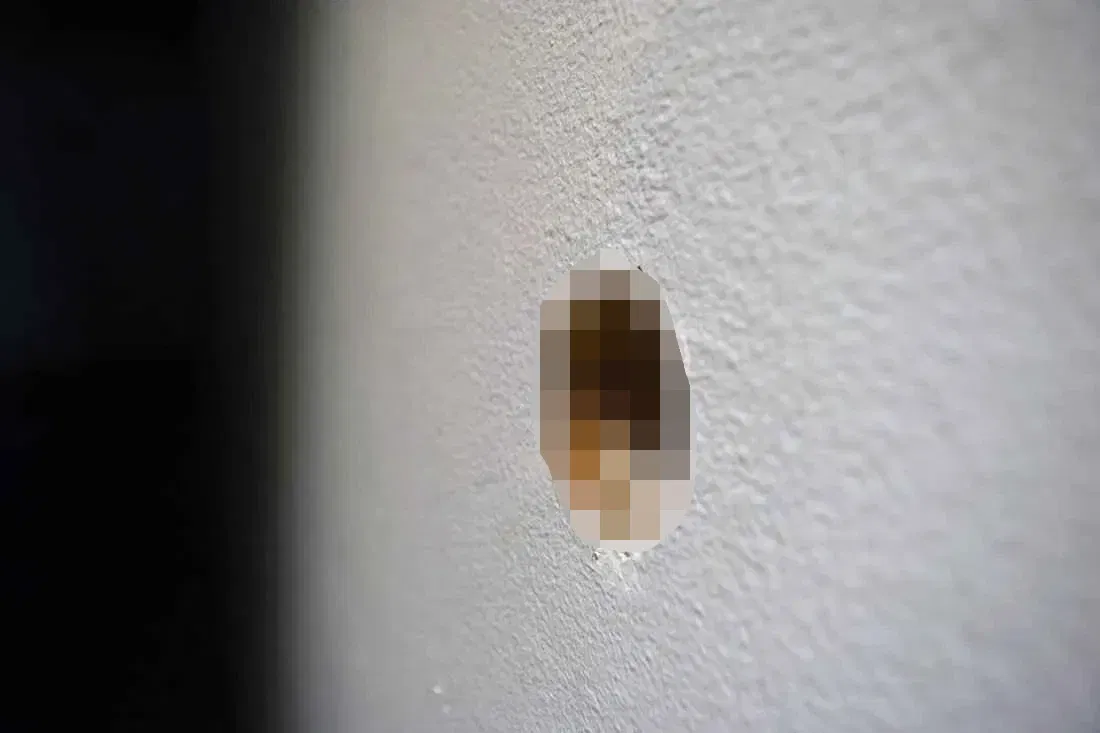 Avatar of Magical Glory Hole Adventure