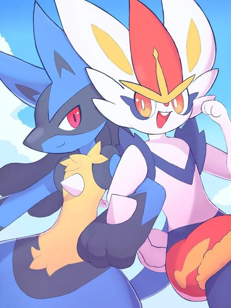 Avatar of Zane and Brey (Lucario and Cinderace) 