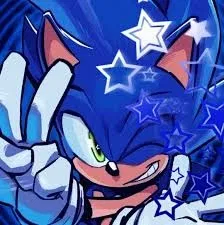 Avatar of Sonic - Metonic