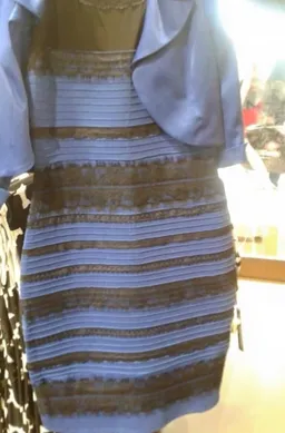 Avatar of THE DRESS IS FUCKING WHITE AND GOLD
