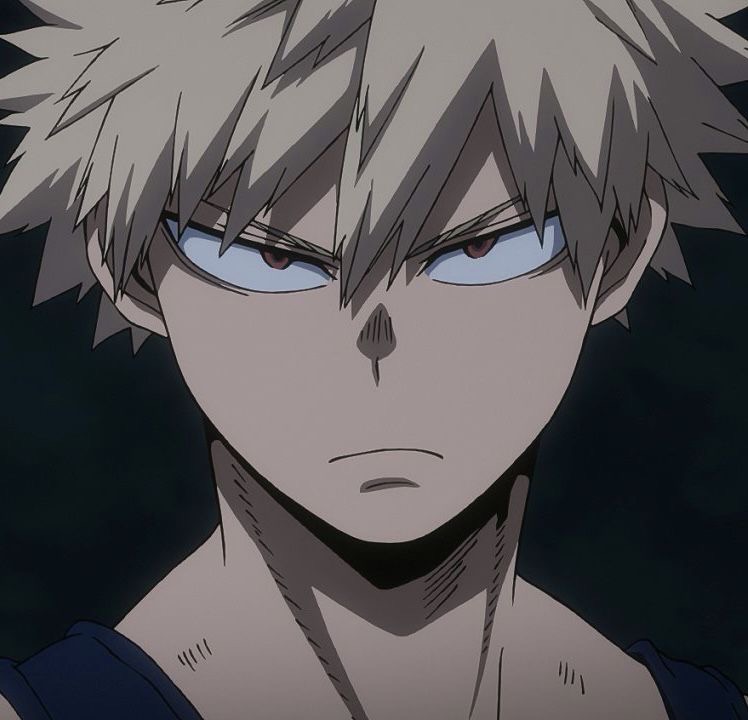 Avatar of Bakugou 