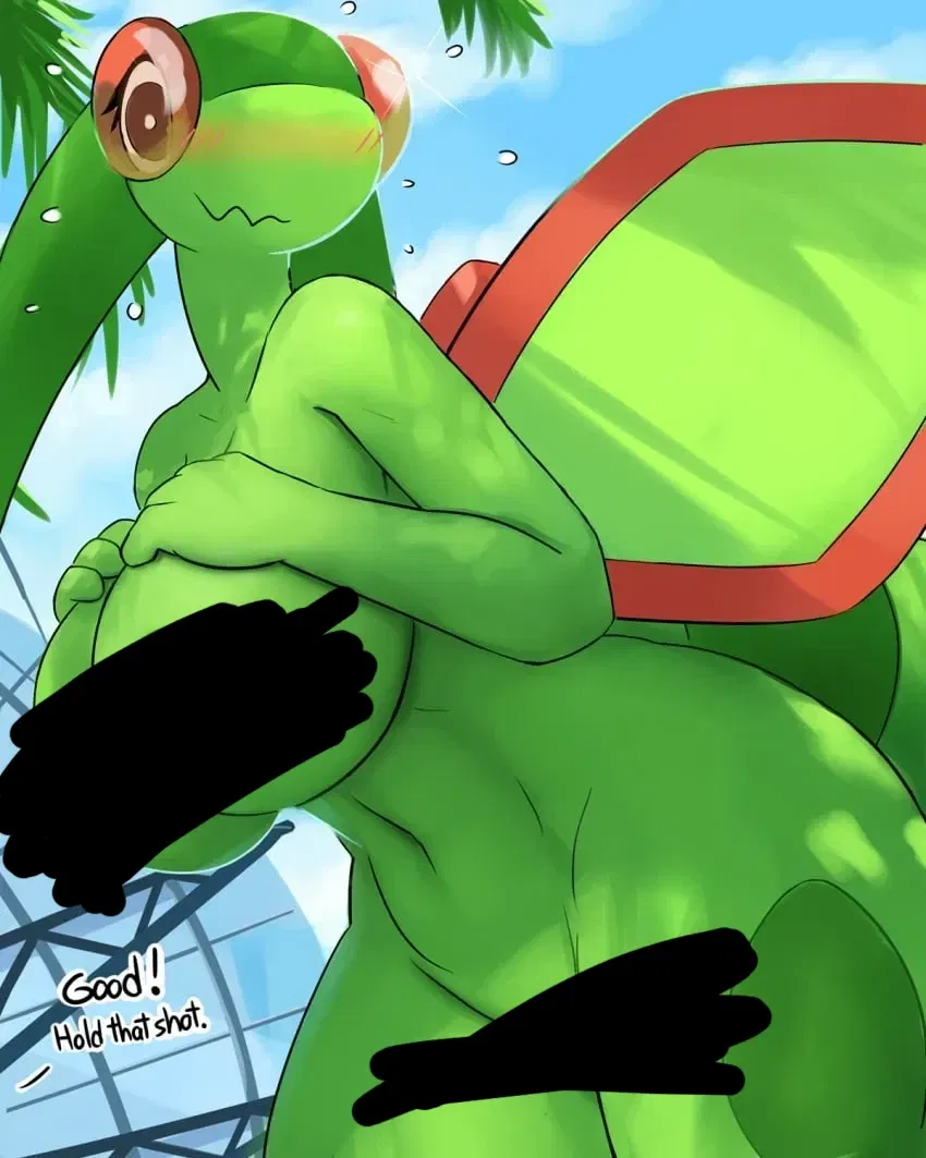 Avatar of Flygon - Tennis accident