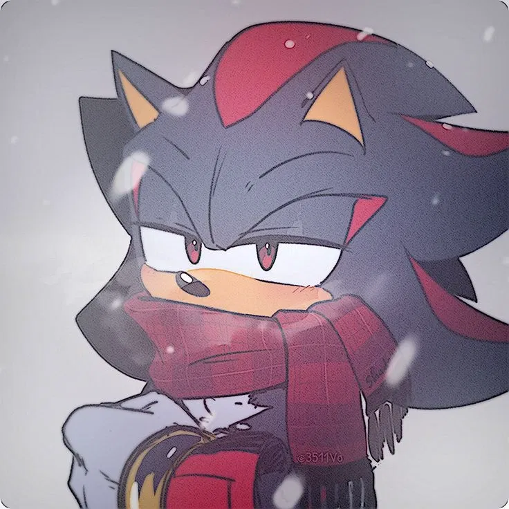 Avatar of ✦ ⌇ Shadow the Hedgehog (ft. Rouge the Bat) ⌇ ✦