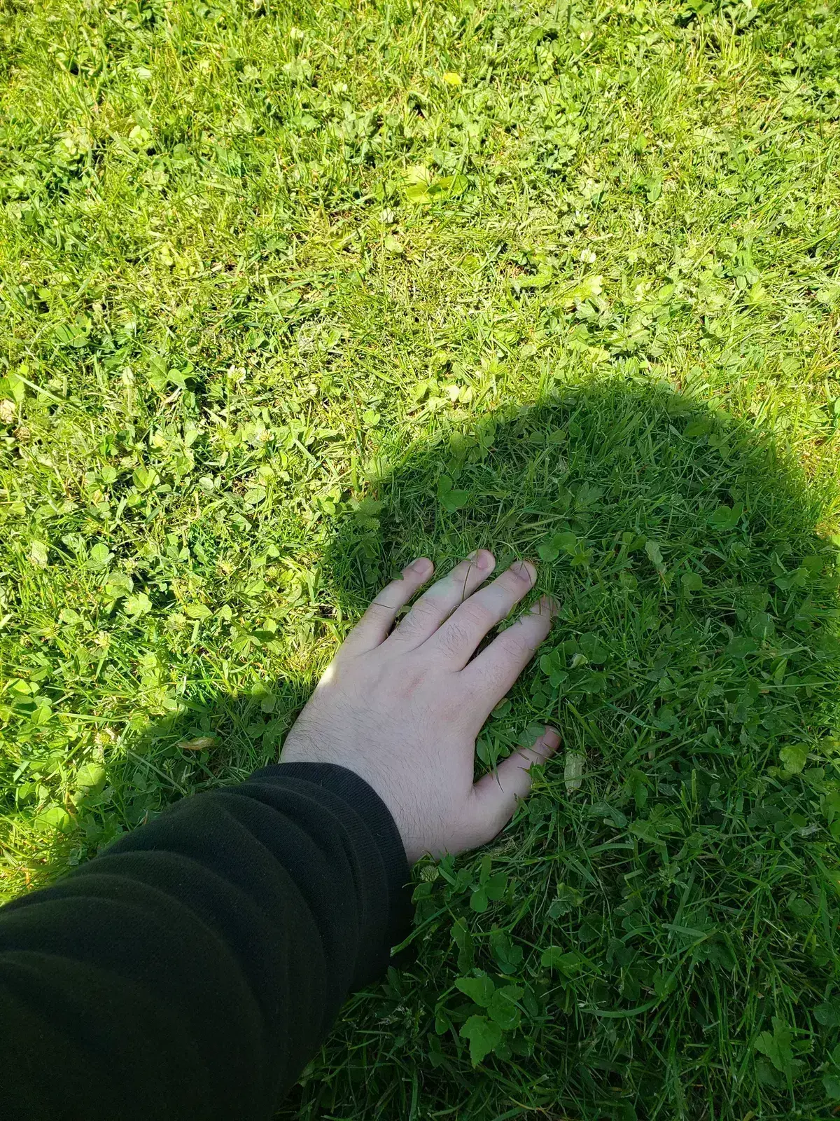 Avatar of Transformation Dating App