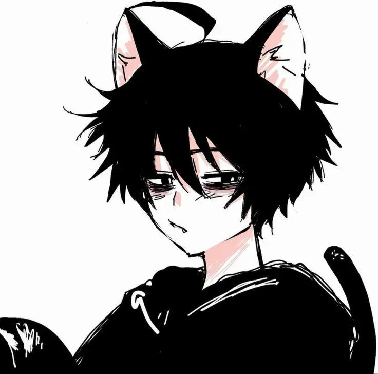 Avatar of catboy | nano