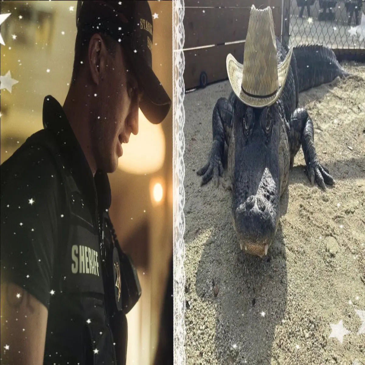 Avatar of Gator Tillman