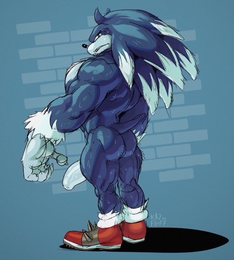Avatar of Sonic the Werehog