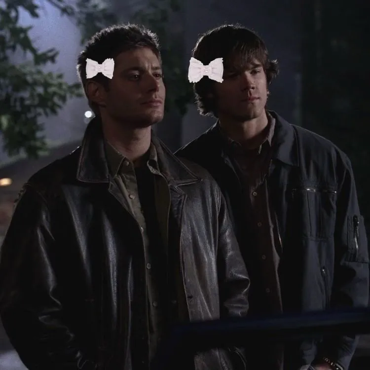 Avatar of Dean Winchester & Sam Winchester