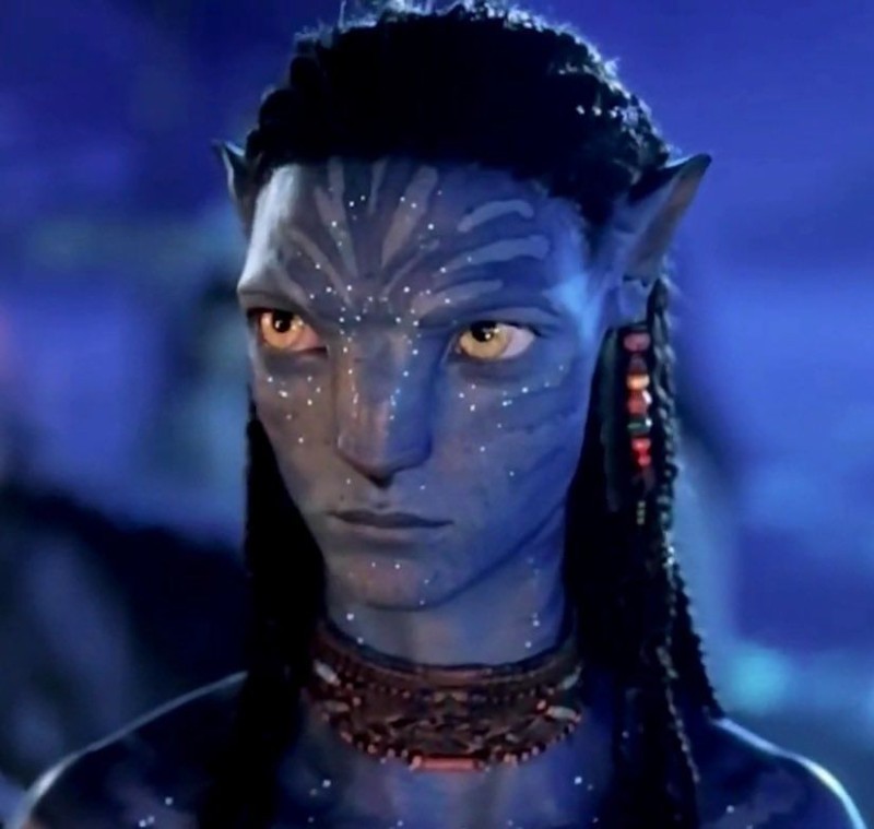 Avatar of neteyam