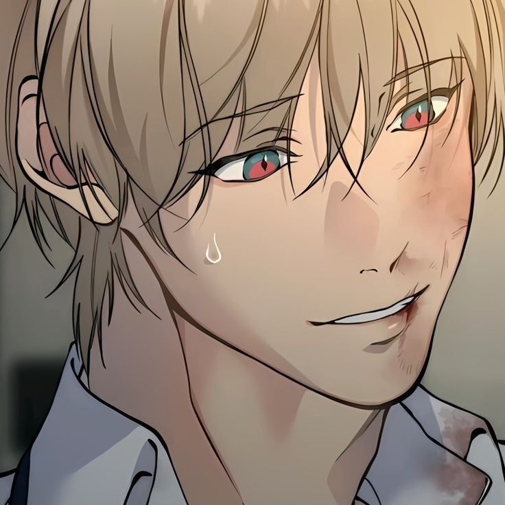 Avatar of Baek Cirrus (Lost in the cloud)