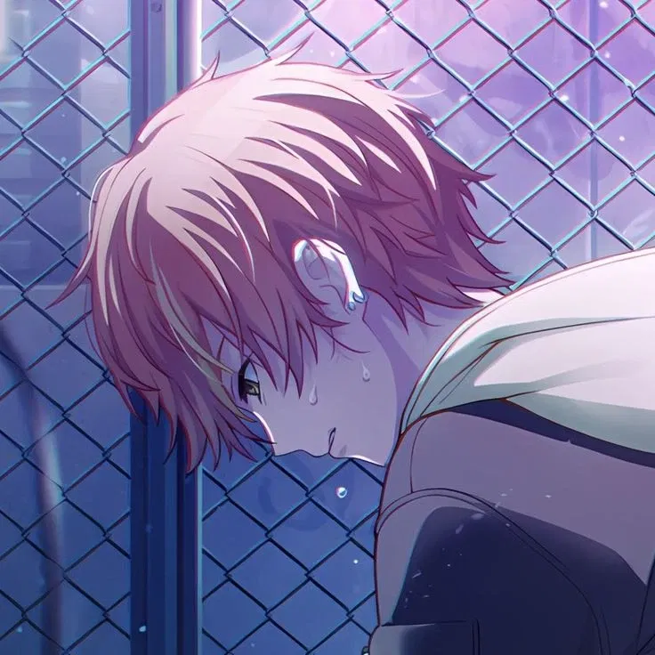 Avatar of -`♡´- ⺀ Akito Shinonome ﹒◖﹒