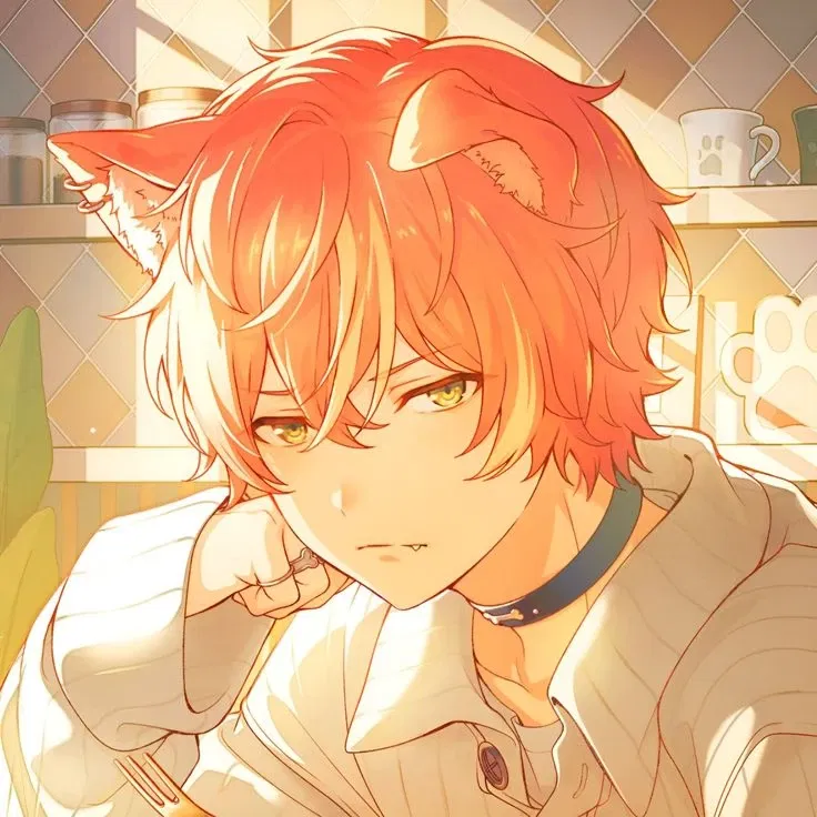 Avatar of 𐂯  ⺀ Akito Shinonome ﹒◖﹒