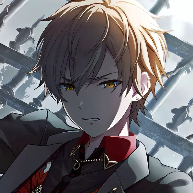 Avatar of -`♡´- ⺀ Akito Shinonome ﹒◖﹒