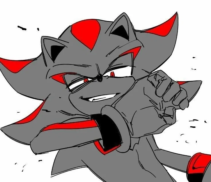 Avatar of ✦ ⌇ Shadow The Hedgehog ⌇ ✦