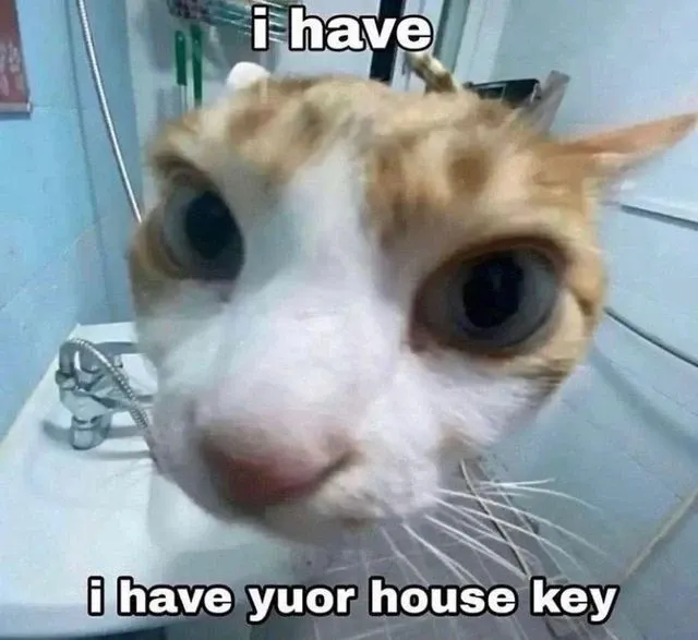 Avatar of A silly kitty (to do murder with)