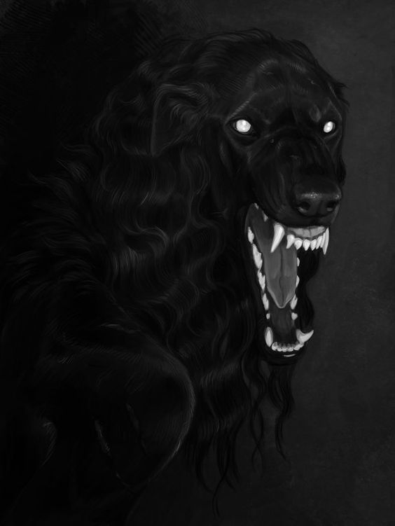 Avatar of Simon Solomon Fisher