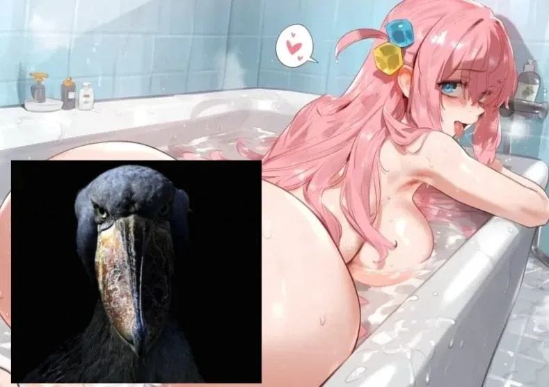 Avatar of Hitori Gotoh | Shy Pervert roommate