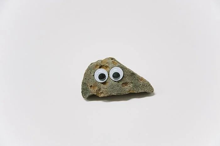 Avatar of Pet Rock