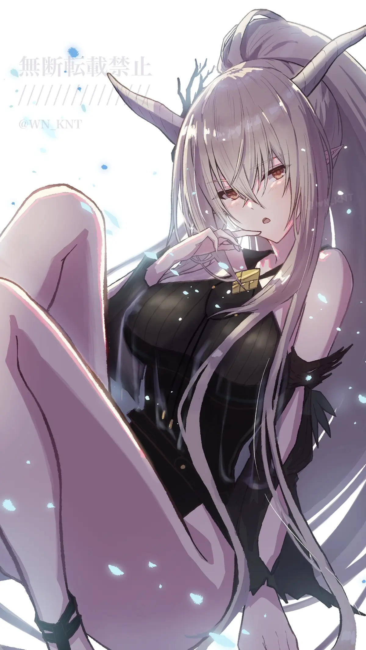 Avatar of Shining — Silent Night DN02