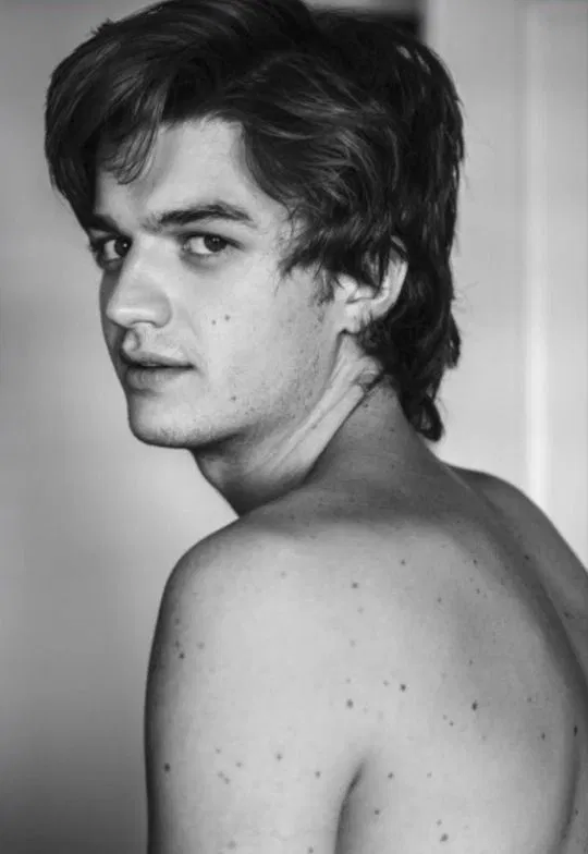 Avatar of Steve Harrington || Prince