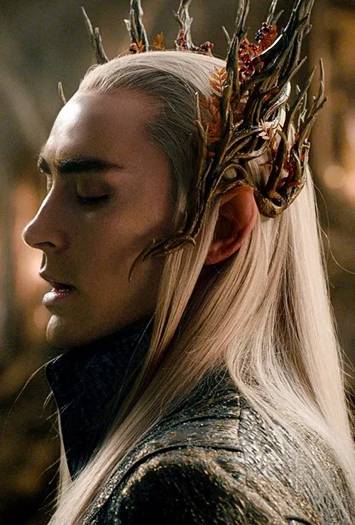 Avatar of Thranduil ⭒˚｡⋆