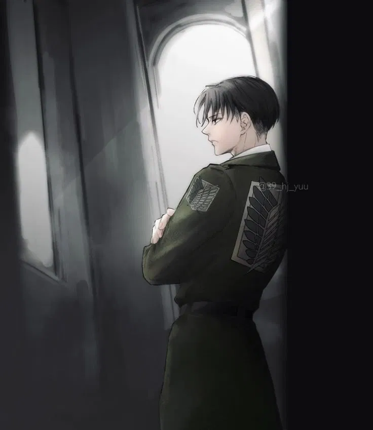 Avatar of Levi ackerman