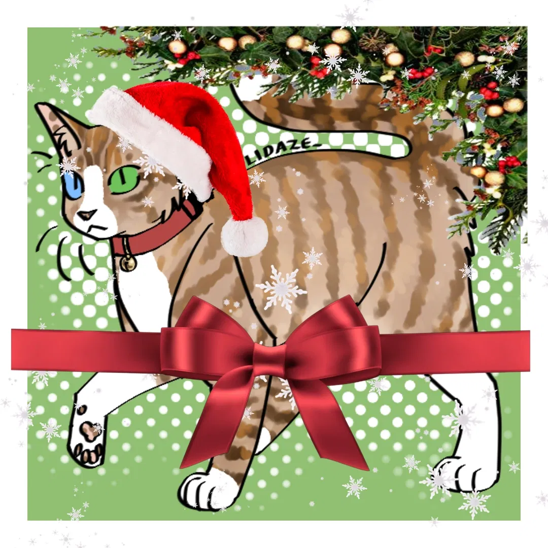 Avatar of Meow meow