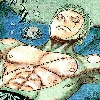 Avatar of Zoro Roronoa 