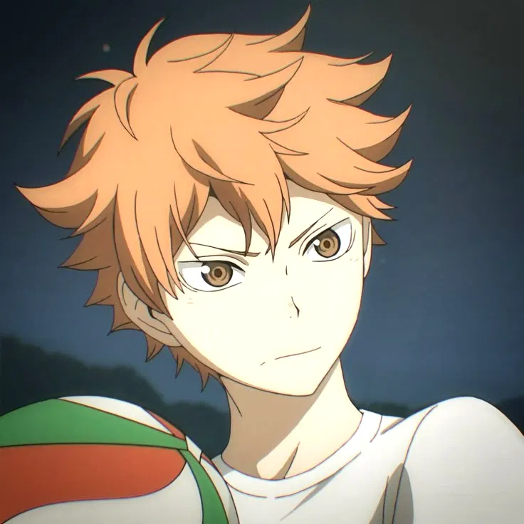 Avatar of Hinata Shoyo