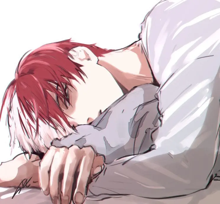Avatar of Shoto Todoroki 