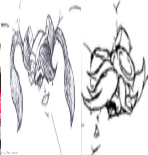 Avatar of Blob Squid Sisters