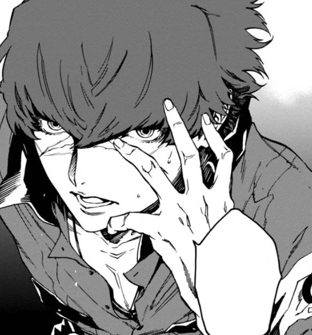 Avatar of Sho Minazuki (P4A/P4AU)