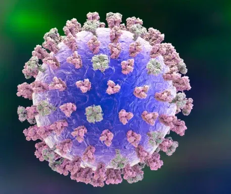Avatar of Weight Gain Virus | Pinguislip 