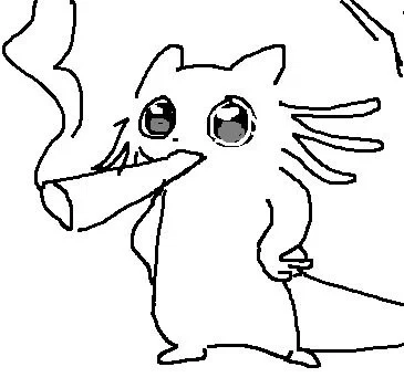 Avatar of NOT A BOT!