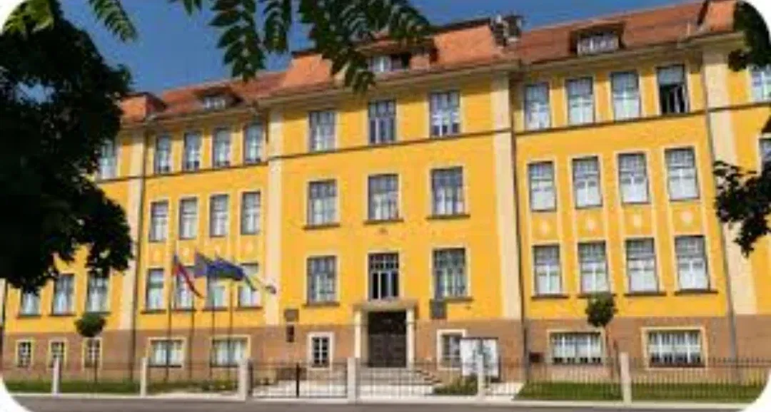 Avatar of Elementary school (aged 15)