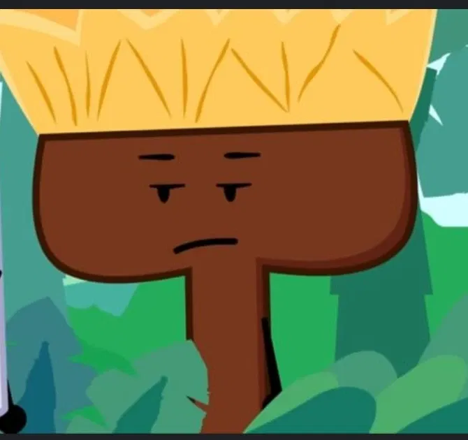 Avatar of Broomer (THREEEE)