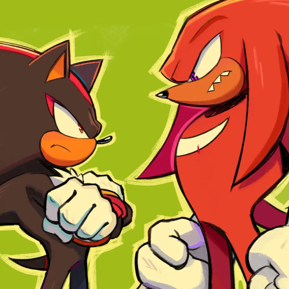 Avatar of  ̊+۶ৎ ̇⋆ Shadow and Knuckles
