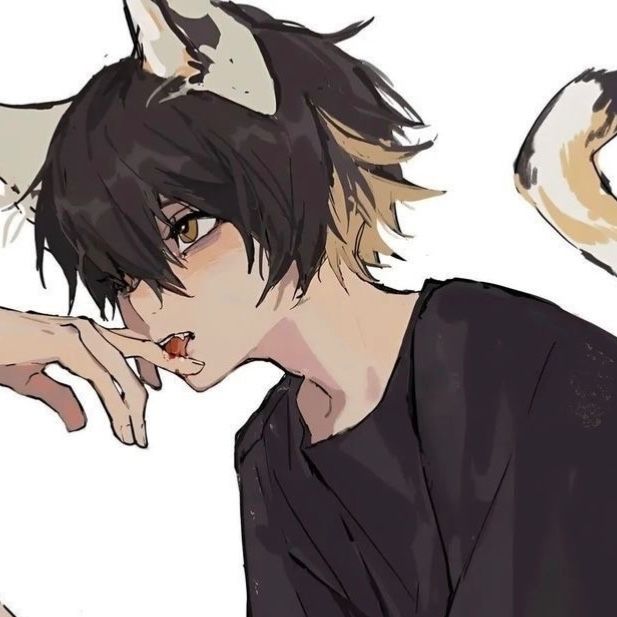 Avatar of Suki - Demi-human Femboy Cat